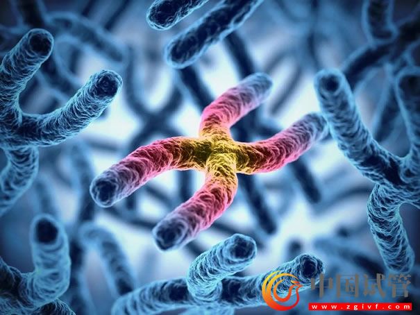 哪幾個區域的y染色體微缺失符合第三代試管指征？(圖1)