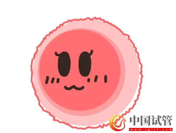 昌都哪些醫(yī)院可以做第三代試管嬰兒？(圖1)
