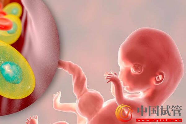 生化后再次備孕要注意，除血常規外這些項目也要檢查！(圖1)