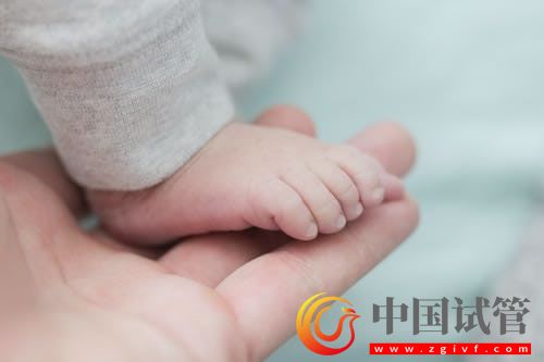 西南大學(xué)研究人員發(fā)現(xiàn)調(diào)控壽命新基因(圖1)
