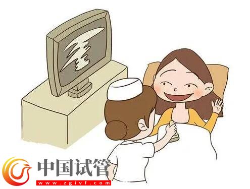 試管助孕檢查內分泌激素可以在哪些時間段？ (圖1)