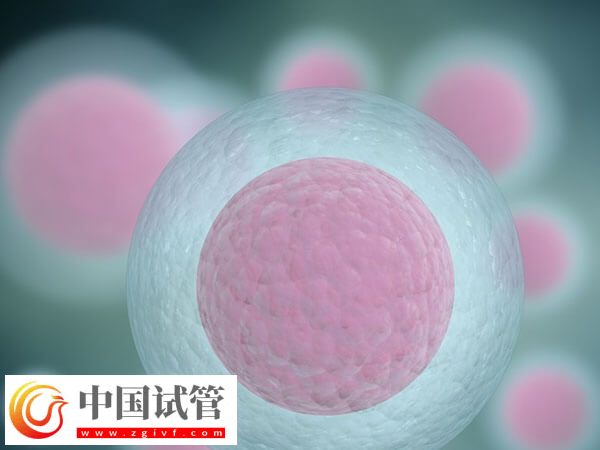 女性卵子質量差易不孕，日常補鐵好處多多！(圖1)