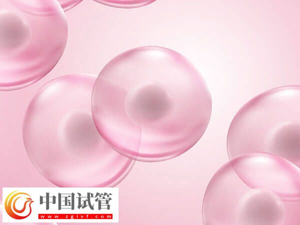 女性卵子質量差易不孕，日常補鐵好處多多！(圖2)