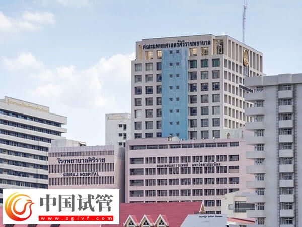 長沙公立供卵機構(gòu)分享，等待時長平均3年起步！(圖2)