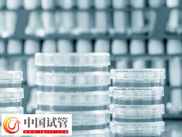 長(zhǎng)沙熱門人工受孕醫(yī)院匯總，前三家成功率均在50%以上(圖3)