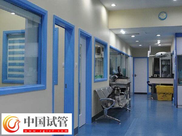 呼和浩特生殖中心盤點，這兩家試管嬰兒技術都不賴(圖2)