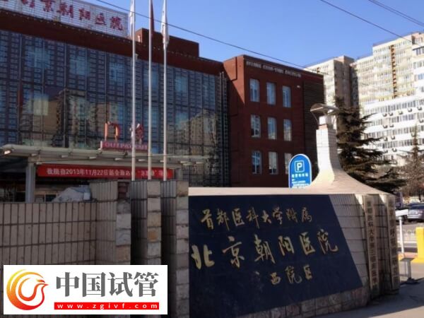 北京朝陽醫(yī)院試管嬰兒收費(fèi)詳解，生雙胎僅需這個(gè)數(shù)...(圖1)