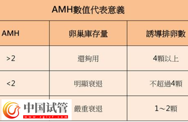試管取卵泡數(shù)量的多少跟患者的amh值有關(guān)系嗎？(圖1)