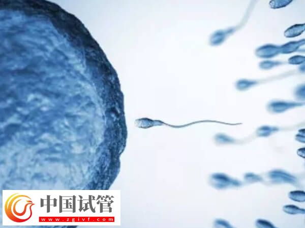 長沙試管嬰兒平均成功率高達(dá)65%，滿足這三個條件即可申請(圖1)