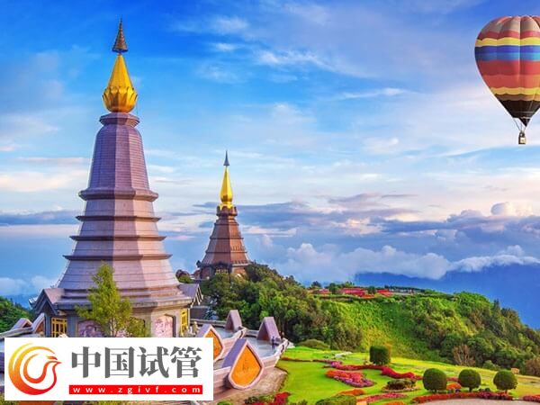 海外各國(guó)試管嬰兒費(fèi)用一覽，內(nèi)含西班牙、印度等地(圖1)