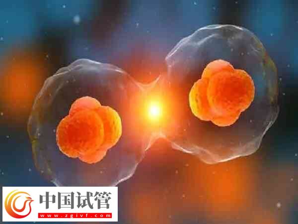 臨汾市人民醫(yī)院做試管嬰兒怎么樣？技術(shù)和成功率一覽(圖1)