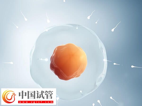 唐山市人授檢查到保胎全程分享，單周期治療一個(gè)月結(jié)束(圖1)