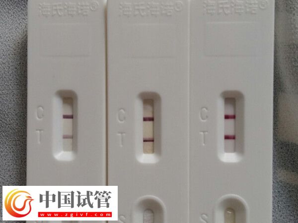 青島婦女兒童醫(yī)院助孕科普，內(nèi)附開(kāi)展項(xiàng)目及成功率(圖3)