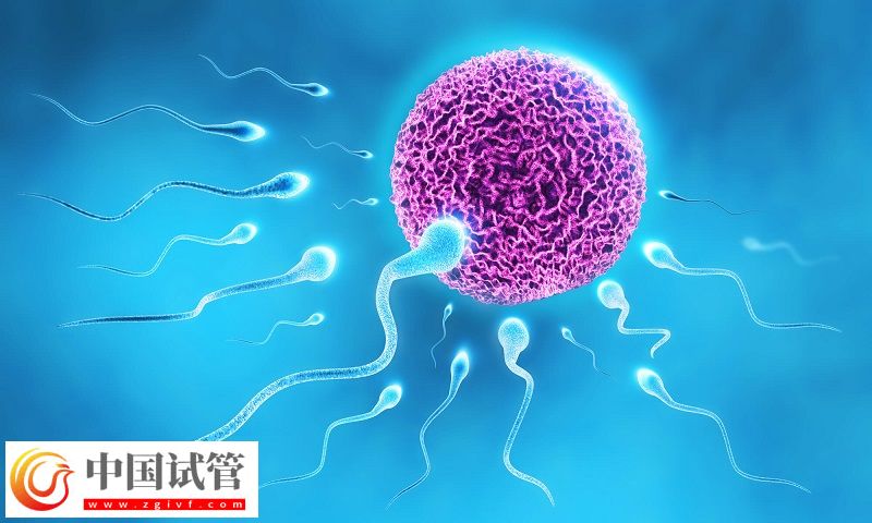 上海試管嬰兒醫(yī)院排名，哪家醫(yī)院口碑好?(圖1)