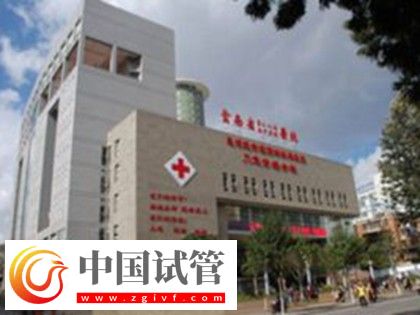 紅河有沒(méi)有做二代試管嬰兒的醫(yī)院？(圖5)