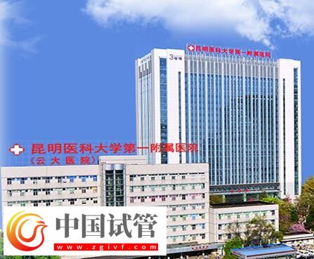 紅河有沒(méi)有做二代試管嬰兒的醫(yī)院？(圖10)