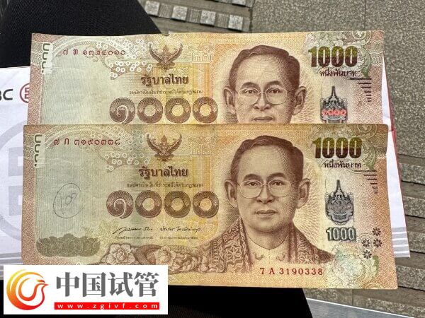 單身赴泰國(guó)做試管嬰兒會(huì)涉及哪些收費(fèi)項(xiàng)目？(圖1)