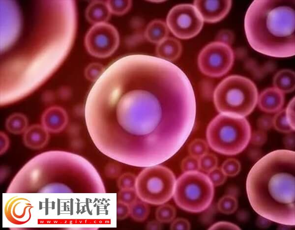 抗卵巢抗體陽性可不可以做試管嬰兒(圖1)