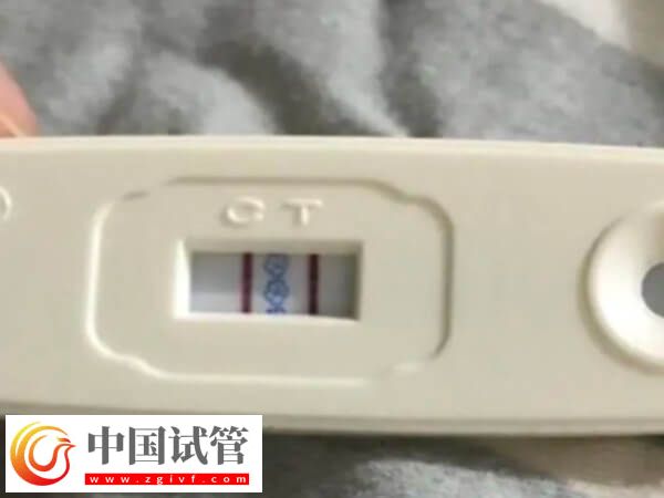 試管嬰兒取卵要適當飲用蛋白粉，對內膜恢復有積極作用！(圖1)