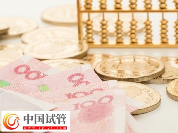 雙胞胎試管嬰兒大致花銷速覽，不知道準備幾萬看這里(圖2)