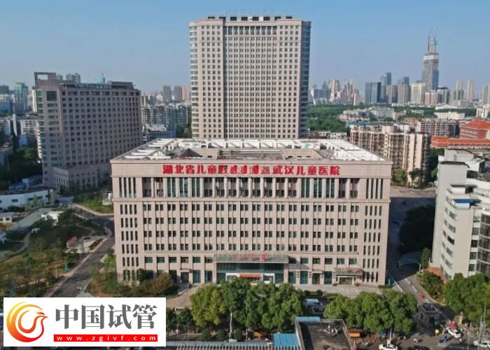 武漢供卵試管嬰兒要幾萬？醫生：一個周期不少于2萬(圖2)