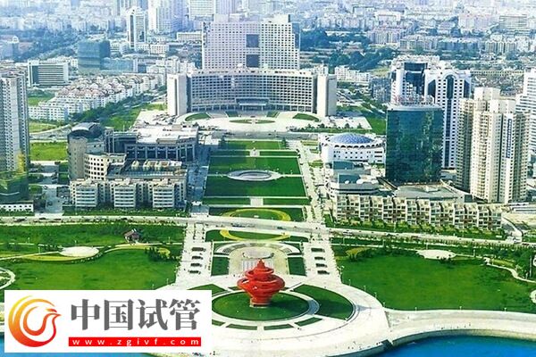 天津哪些醫(yī)院能做二代試管嬰兒？成功率是多少？ 問題描述：(圖1)