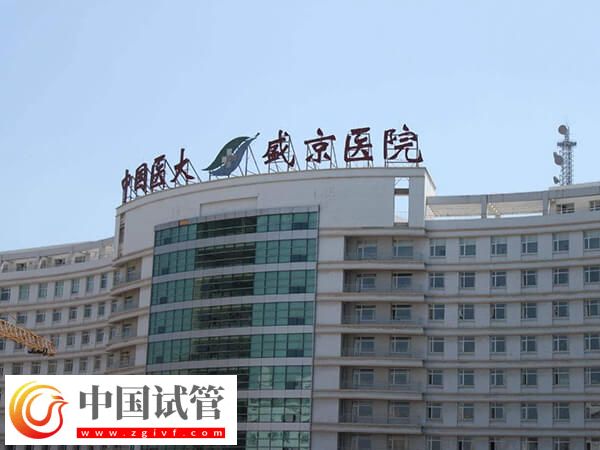 試管嬰兒術前夫妻必查項目匯總，甲功七項是其一！(圖1)