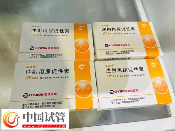 試管嬰兒促排期間幾個細節(jié)別忽視，掌握這5個要點受用整個周期(圖1)
