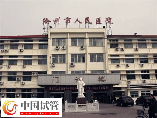 滄州二代試管嬰兒多少錢？過來(lái)人：一個(gè)周期3萬(wàn)起(圖1)