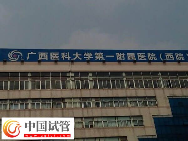 南寧生殖機構top5全在這，哪家助孕率高一清二楚！(圖2)