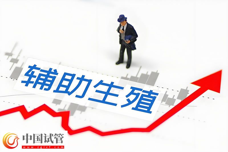 國(guó)內(nèi)首例綜合性評(píng)估模型試管嬰兒在杭州妊娠成功(圖1)