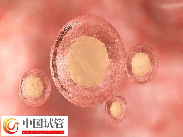 滄州人民醫(yī)院試管二次移植有凍胚費(fèi)用高不高(圖1)