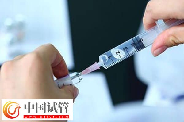 為什么醫(yī)生建議移植鮮胚(圖1)