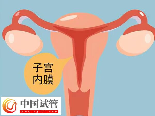 子宮內膜厚度多少做試管嬰兒才能成功著床？(圖2)