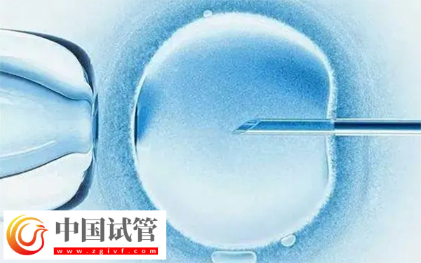 河南省人民醫(yī)院供卵等多久(圖2)