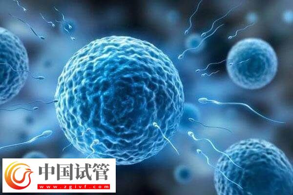 卵泡少做一代試管怎么備孕(圖1) 卵泡少做一代試管怎么備孕(圖1)