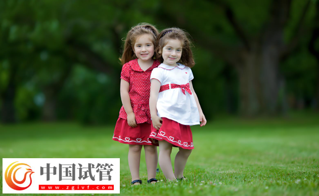 大連試管嬰兒費(fèi)用解析：雙胞胎與單胞胎的差異！(圖1)