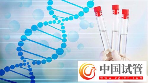 54歲做供卵試管的案例分析!高齡供卵試管如何調理身體(圖1) 54歲做供卵試管的案例分析!高齡供卵試管如何調理身體(圖1)