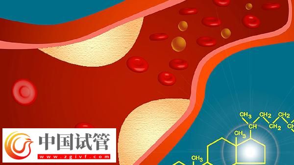 血常規(guī)五項(xiàng)是哪五項(xiàng)(圖1)