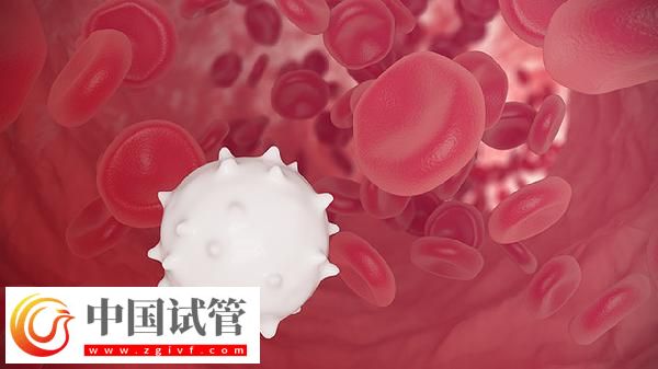 血常規(guī)五項(xiàng)是哪五項(xiàng)(圖2)