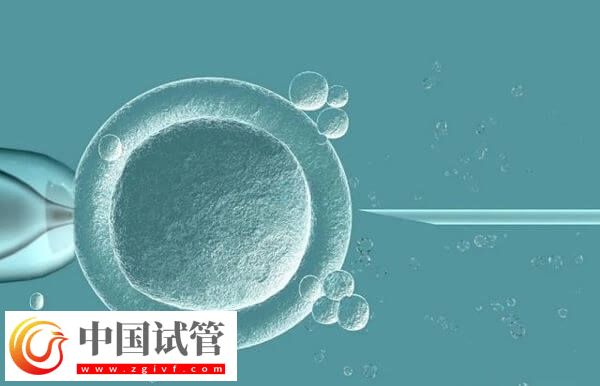 27歲試管嬰兒成功率有多少(圖2) 27歲試管嬰兒成功率有多少(圖2)