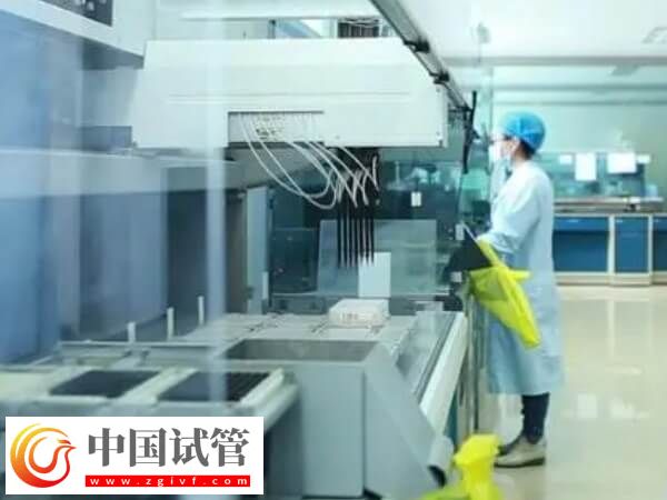 27歲試管嬰兒成功率有多少(圖1) 27歲試管嬰兒成功率有多少(圖1)