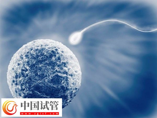 在武漢協(xié)和醫(yī)院申請(qǐng)供精能做幾次(圖1)