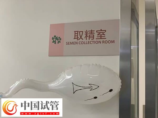 試管嬰兒先取精還是先取卵(圖1)