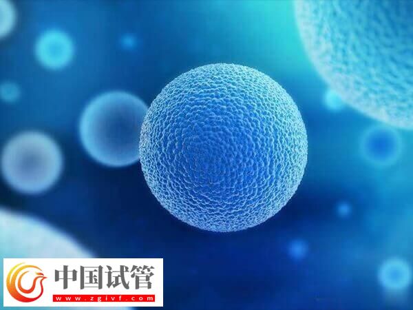 超長(zhǎng)方案卵泡少是好事還是壞事(圖1)