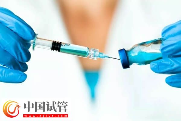 超長(zhǎng)方案卵泡少是好事還是壞事(圖2)