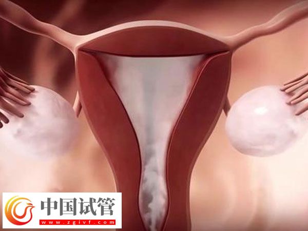 助孕4月后出血原因(圖2)