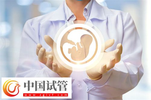 試管嬰兒一般做多少次能成功?(圖1) 試管嬰兒一般做多少次能成功?(圖1)