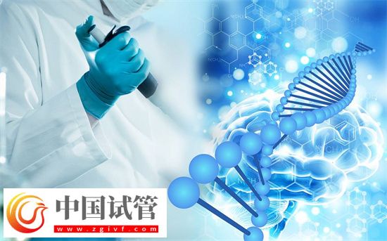 試管嬰兒一般做多少次能成功?(圖2) 試管嬰兒一般做多少次能成功?(圖2)