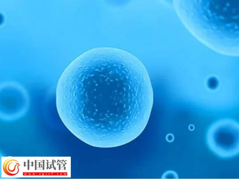 試管移植后血值不翻倍怎么辦 胚胎移植(圖1)
